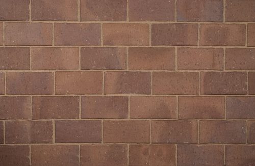 nutmeg paver