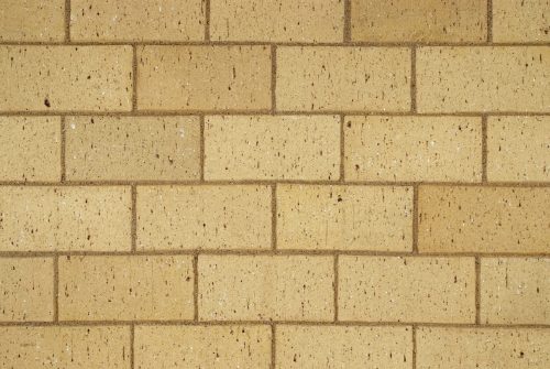 champagne paver