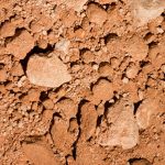 G6